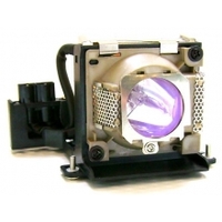 BenQ лампа для проектора mp620c 5j.j2c01.001 179801219
