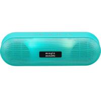 Magic acoustic SK1019GN